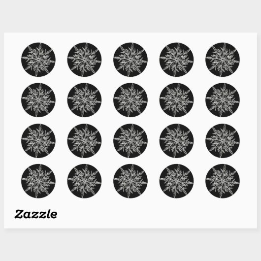 Single Ice Crystal on Black Ronde Sticker (Vel)