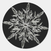 Single Ice Crystal on Black Ronde Sticker (Voorkant)