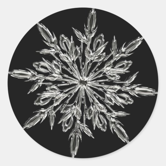 Single Ice Crystal on Black Ronde Sticker (Voorkant)
