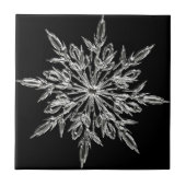 Single Ice Crystal op zwart Tegeltje (Voorkant)