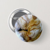 Single Kittens-Button Ronde Button 5,7 Cm (Voorkant /achterkant)