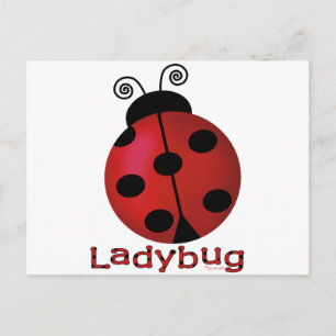 Single Ladybug Briefkaart