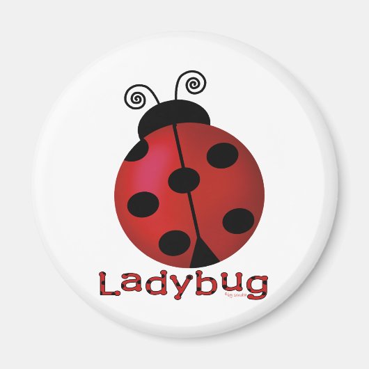 Single Ladybug Magneet (Voorkant)