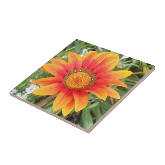 Single Orange Flower Tegeltje (Zijkant)