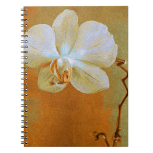 Single Orchid Flower in Shades of Oranje Artwork Notitieboek