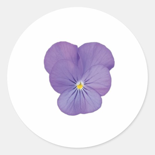 Single Pansy Flower Sticker (Voorkant)