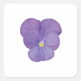 Single Pansy Flower Sticker