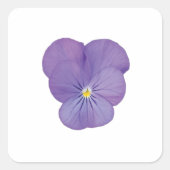 Single Pansy Flower Sticker (Voorkant)