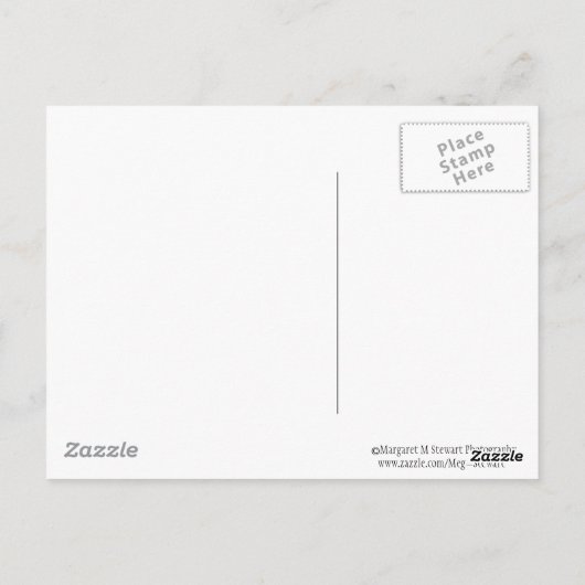 Single Patriotic Ornament Briefkaart (Achterkant)