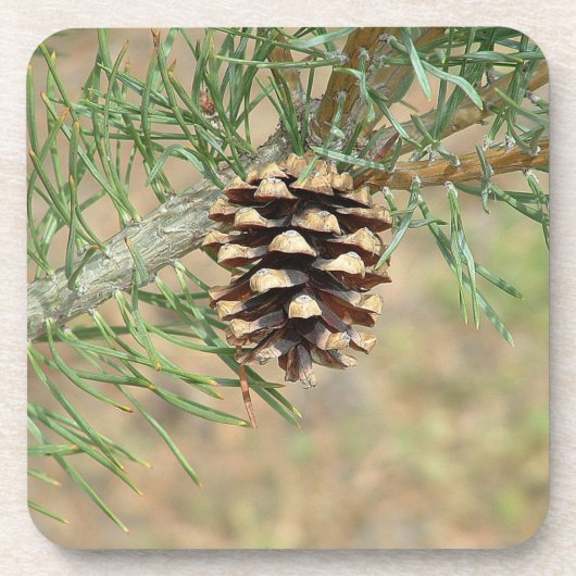 Single Pine Cone-Onderzetters Bier Onderzetter (Voorkant)