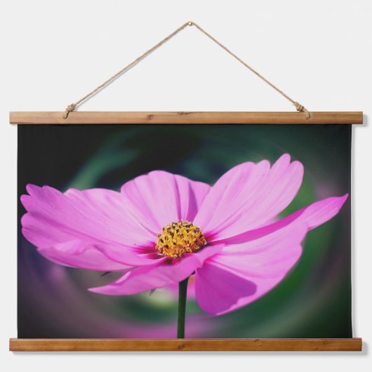 Single Pink Cosmos Flower Hangend Wandkleed (Voorkant)