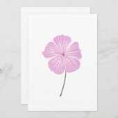 Single Pink Lavatera Kaart (Voorkant / Achterkant)