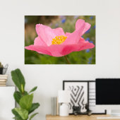 Single Pink Poppy Foto Close-up Poster (Thuiskantoor)