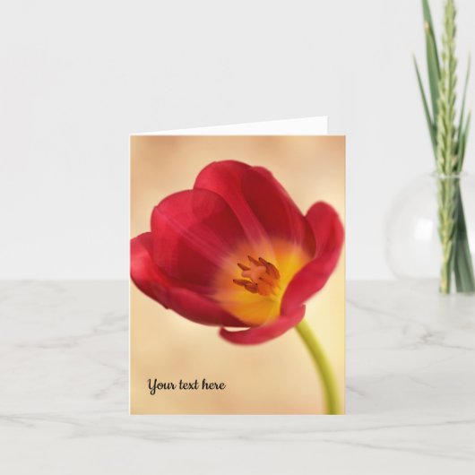 Single Pink Tulp Wenskaart Bedankkaart (Voorkant)
