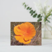 Single Poppy Briefkaart (Staand voorkant)