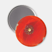 Single Poppy Magneet (Voorkant / Achterkant)