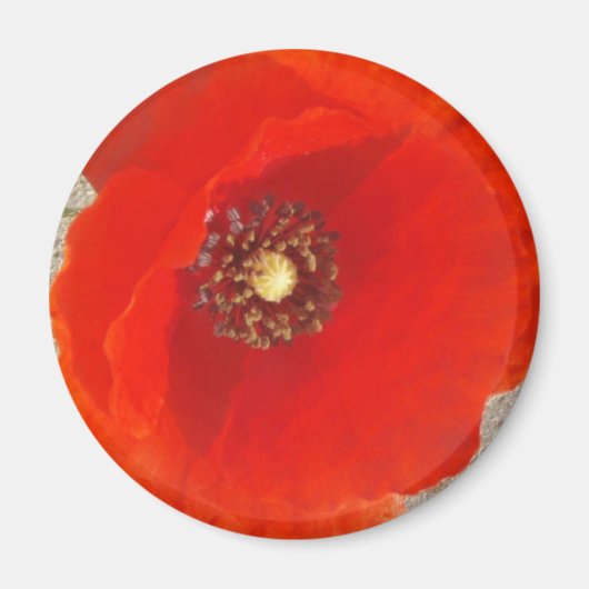 Single Poppy Magneet (Voorkant)