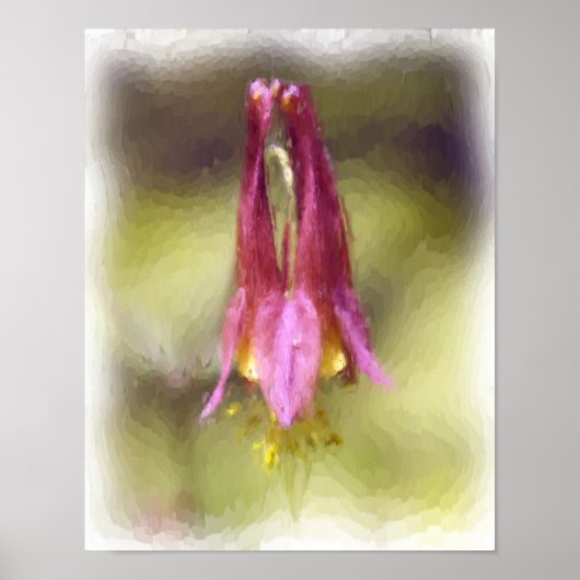 Single Red Columbine Flower Art Poster (Voorkant)