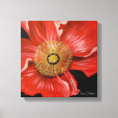 Single Red Poppy Canvas Afdruk (Voorkant)