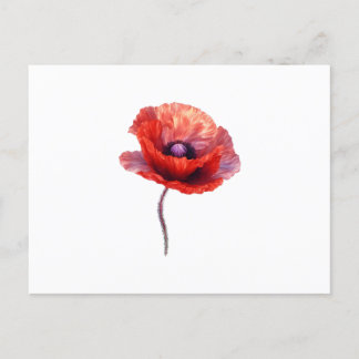 Single Red Poppy Flower Briefkaart