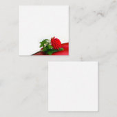 Single Red Rose – Floral White Background Informatiekaartje (Voorkant / Achterkant)