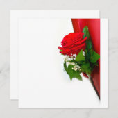 Single Red Rose – Floral White Background Kaart (Voorkant / Achterkant)