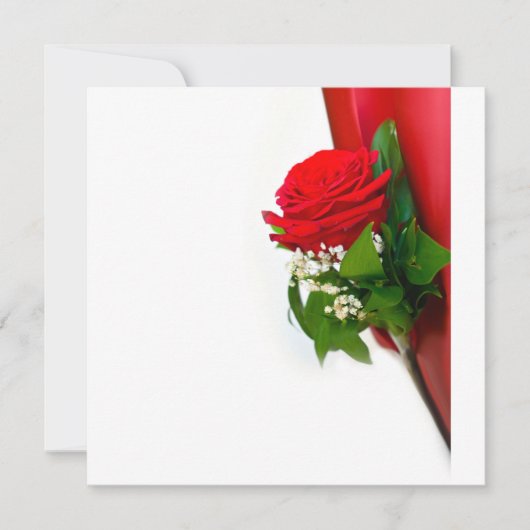 Single Red Rose – Floral White Background Kaart (Voorkant)