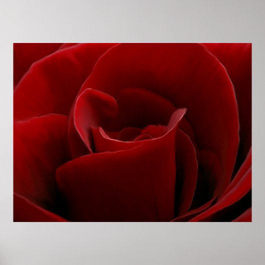 Single Red Rose Print (Voorkant)