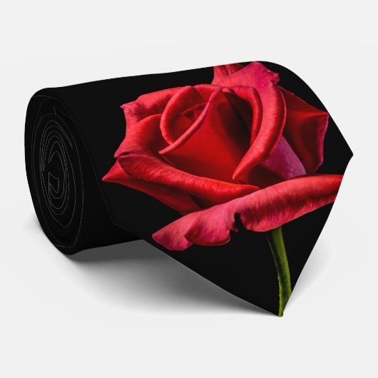 Single Red Rose Zwart Achtergrond Stropdas (Opgerold)