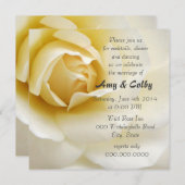 Single romige witte roos bruiloft receptie kaart (Voorkant / Achterkant)