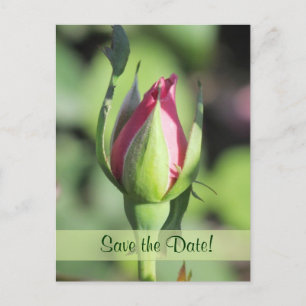 Single Roos Bud Save the Date Briefkaarten