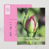 Single Roos Bud Save the Date Briefkaarten (Voorkant / Achterkant)