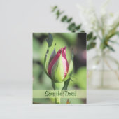 Single Roos Bud Save the Date Briefkaarten (Staand voorkant)