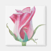 Single Roze Rose Magnet (Voorkant)