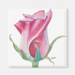 Single Roze Rose Magnet