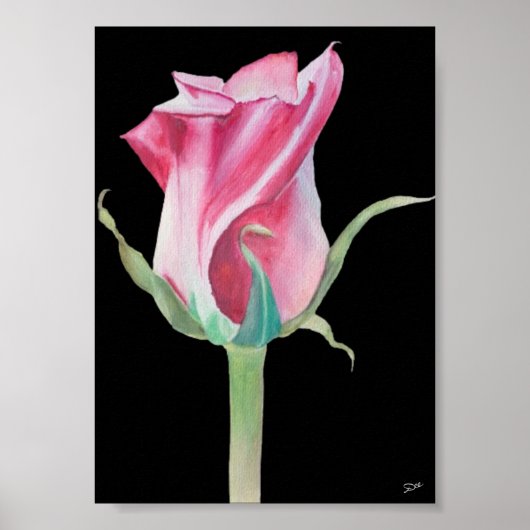 Single Roze Rose Premium Canvas Poster (5x7) (Voorkant)