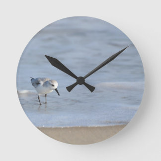 Single Sandpiper walking on beach Ronde Klok