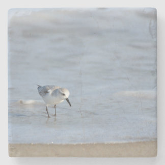 Single Sandpiper walking on beach Stenen Onderzetter