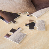 Single Seal in Collony Legpuzzel (Zijkant)
