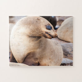 Single Seal in Collony Legpuzzel