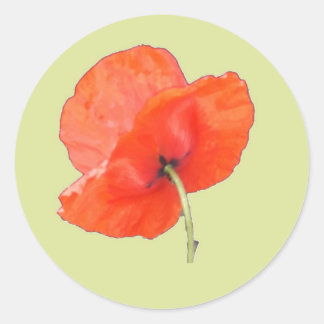 Single Sinaasappel Red Poppy met Green Steam Ronde Sticker