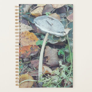 Single Skinny-paddenstoel, met herfstkleuren. Planner
