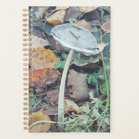 Single Skinny-paddenstoel, met herfstkleuren. Planner (Voorkant)
