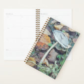 Single Skinny-paddenstoel, met herfstkleuren. Planner (Display)