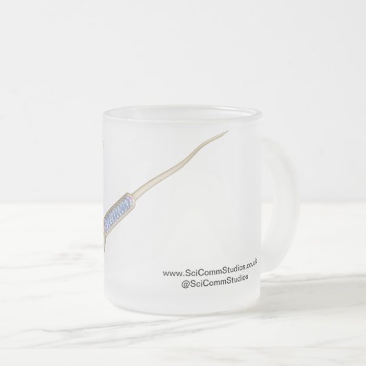 Single Sperm Cell Matglas Koffiemok (Voorkant rechts)