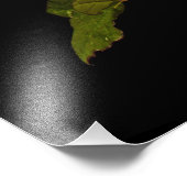 Single Stem-Roos Foto Afdruk (Hoek)