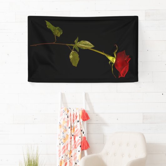 Single Stem-Roos Spandoek (Insitu)