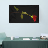 Single Stem-Roos Spandoek (Beurs)