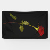 Single Stem-Roos Spandoek (Horizontaal)