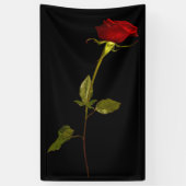 Single Stem-Roos Spandoek (Verticaal)